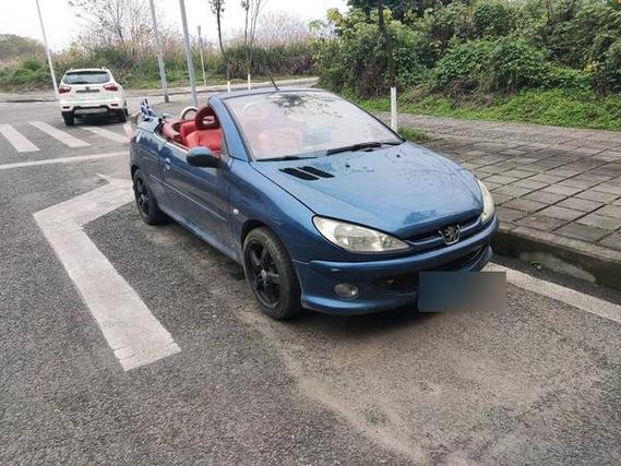 【标志206cc,标志206cc参数】