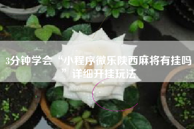 3分钟学会“小程序微乐陕西麻将有挂吗	”详细开挂玩法