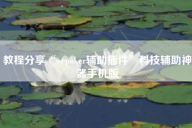 教程分享“wepoker辅助插件	”科技辅助神器手机版