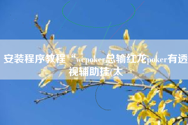 安装程序教程“wepoker总输红龙poker有透视辅助挂(太