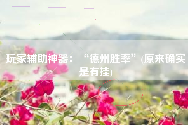 玩家辅助神器：“德州胜率”(原来确实是有挂)