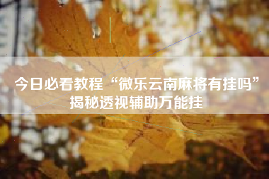 今日必看教程“微乐云南麻将有挂吗”揭秘透视辅助万能挂