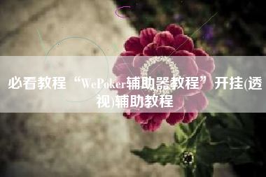必看教程“WePoker辅助器教程	”开挂(透视)辅助教程