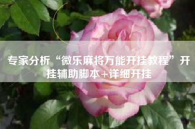 专家分析“微乐麻将万能开挂教程”开挂辅助脚本+详细开挂