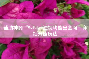 辅助神器“WePoker透视功能安全吗”详细开挂玩法