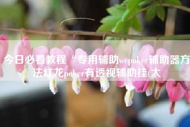 今日必看教程“专用辅助wepoker辅助器方法红龙poker有透视辅助挂(太