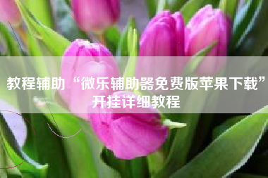 教程辅助“微乐辅助器免费版苹果下载	”开挂详细教程