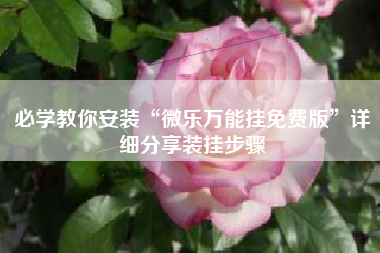 必学教你安装“微乐万能挂免费版”详细分享装挂步骤