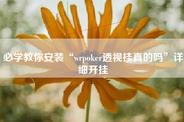必学教你安装“wrpoker透视挂真的吗	”详细开挂