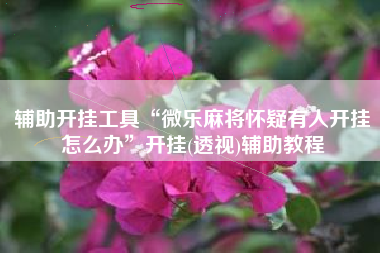 辅助开挂工具“微乐麻将怀疑有人开挂怎么办	”开挂(透视)辅助教程