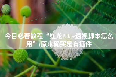 今日必看教程“红龙Poker透视脚本怎么用”(原来确实是有插件