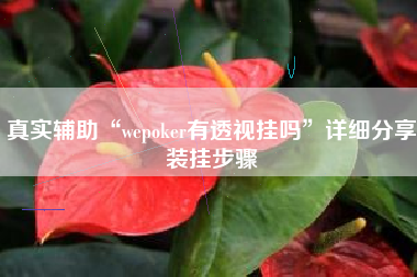 真实辅助“wepoker有透视挂吗”详细分享装挂步骤