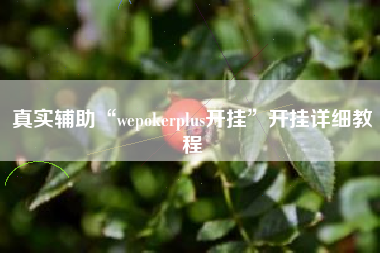 真实辅助“wepokerplus开挂”开挂详细教程