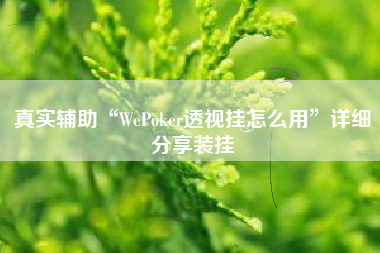 真实辅助“WePoker透视挂怎么用”详细分享装挂
