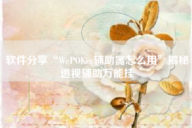 软件分享“WePOKer辅助器怎么用	”揭秘透视辅助万能挂