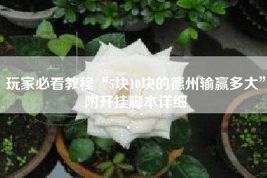 玩家必看教程“5块10块的德州输赢多大”附开挂脚本详细