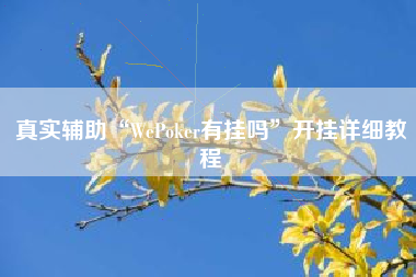 真实辅助“WePoker有挂吗”开挂详细教程