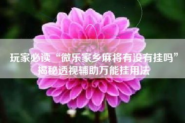 玩家必读“微乐家乡麻将有没有挂吗”揭秘透视辅助万能挂用法