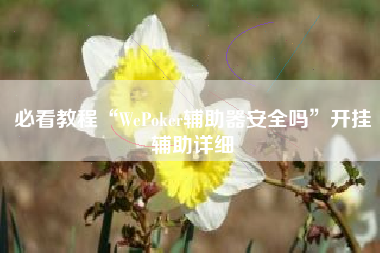 必看教程“WePoker辅助器安全吗”开挂辅助详细
