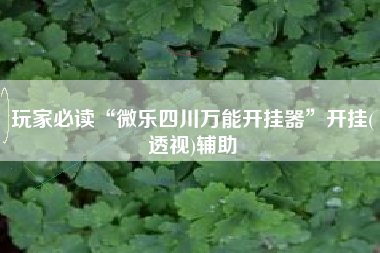 玩家必读“微乐四川万能开挂器	”开挂(透视)辅助