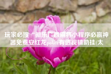 玩家必搜“微乐广西麻将小程序必赢神器免费安红龙poker有透视辅助挂(太