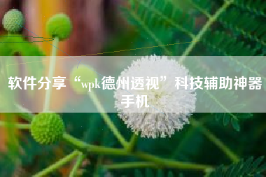 软件分享“wpk德州透视	”科技辅助神器手机