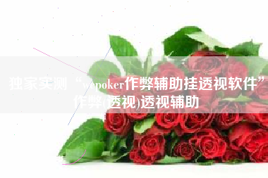 独家实测“wepoker作弊辅助挂透视软件”作弊(透视)透视辅助