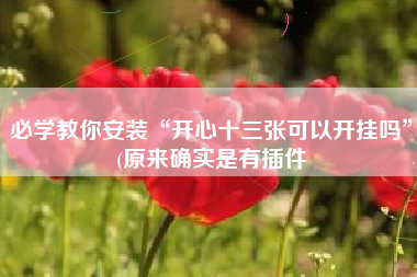 必学教你安装“开心十三张可以开挂吗”(原来确实是有插件