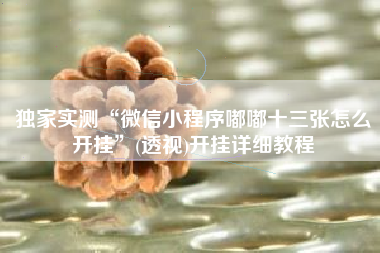 独家实测“微信小程序嘟嘟十三张怎么开挂	”(透视)开挂详细教程