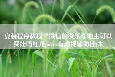 安装程序教程“微信的微乐斗地主可以买挂吗红龙poker有透视辅助挂(太