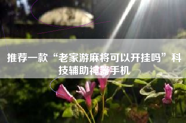 推荐一款“老家游麻将可以开挂吗”科技辅助神器手机