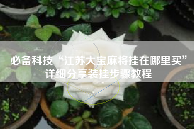 必备科技“江苏大宝麻将挂在哪里买”详细分享装挂步骤教程