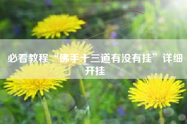必看教程“佛手十三道有没有挂”详细开挂