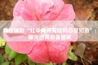 教程辅助“红中麻将有挂吗百度知道	”(曝光透视必备猫腻