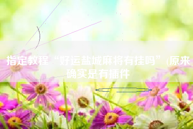 指定教程“好运盐城麻将有挂吗”(原来确实是有插件