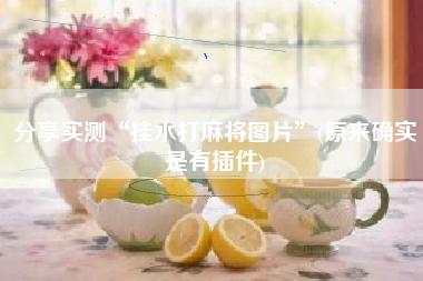 分享实测“挂水打麻将图片”(原来确实是有插件)