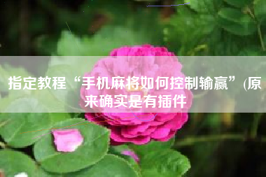 指定教程“手机麻将如何控制输赢”(原来确实是有插件