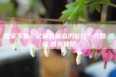 独家实测“记麻将输赢的软件”作弊(透视)透视辅助