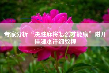 专家分析“决胜麻将怎么才能赢”附开挂脚本详细教程