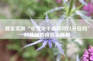 独家实测“中至余干麻将可以开挂吗”科技辅助神器手机版