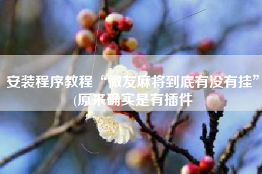 安装程序教程“微友麻将到底有没有挂	”(原来确实是有插件