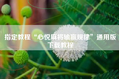 指定教程“心悦麻将输赢规律”通用版下载教程
