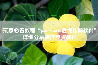 玩家必看教程“pokerworld透视作弊软件	”详细分享装挂步骤教程