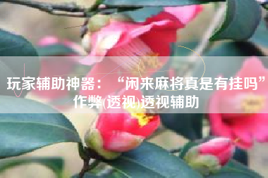 玩家辅助神器：“闲来麻将真是有挂吗”作弊(透视)透视辅助