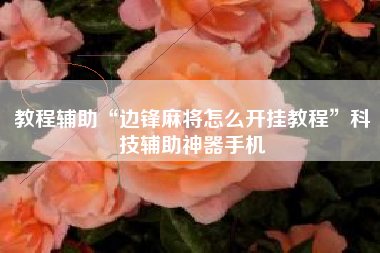 教程辅助“边锋麻将怎么开挂教程”科技辅助神器手机