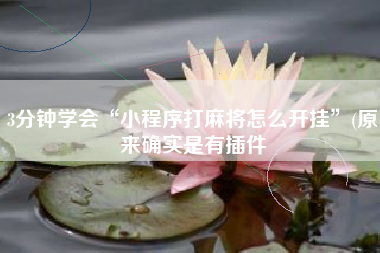 3分钟学会“小程序打麻将怎么开挂”(原来确实是有插件