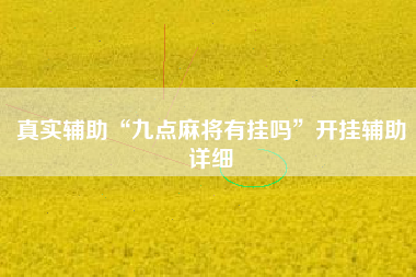 真实辅助“九点麻将有挂吗”开挂辅助详细