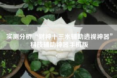 实测分析“财神十三水辅助透视神器”科技辅助神器手机版