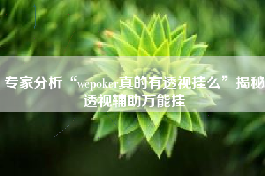 专家分析“wepoker真的有透视挂么”揭秘透视辅助万能挂