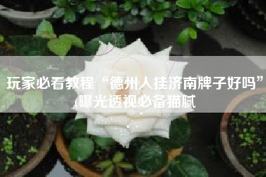 玩家必看教程“德州人挂济南牌子好吗”(曝光透视必备猫腻